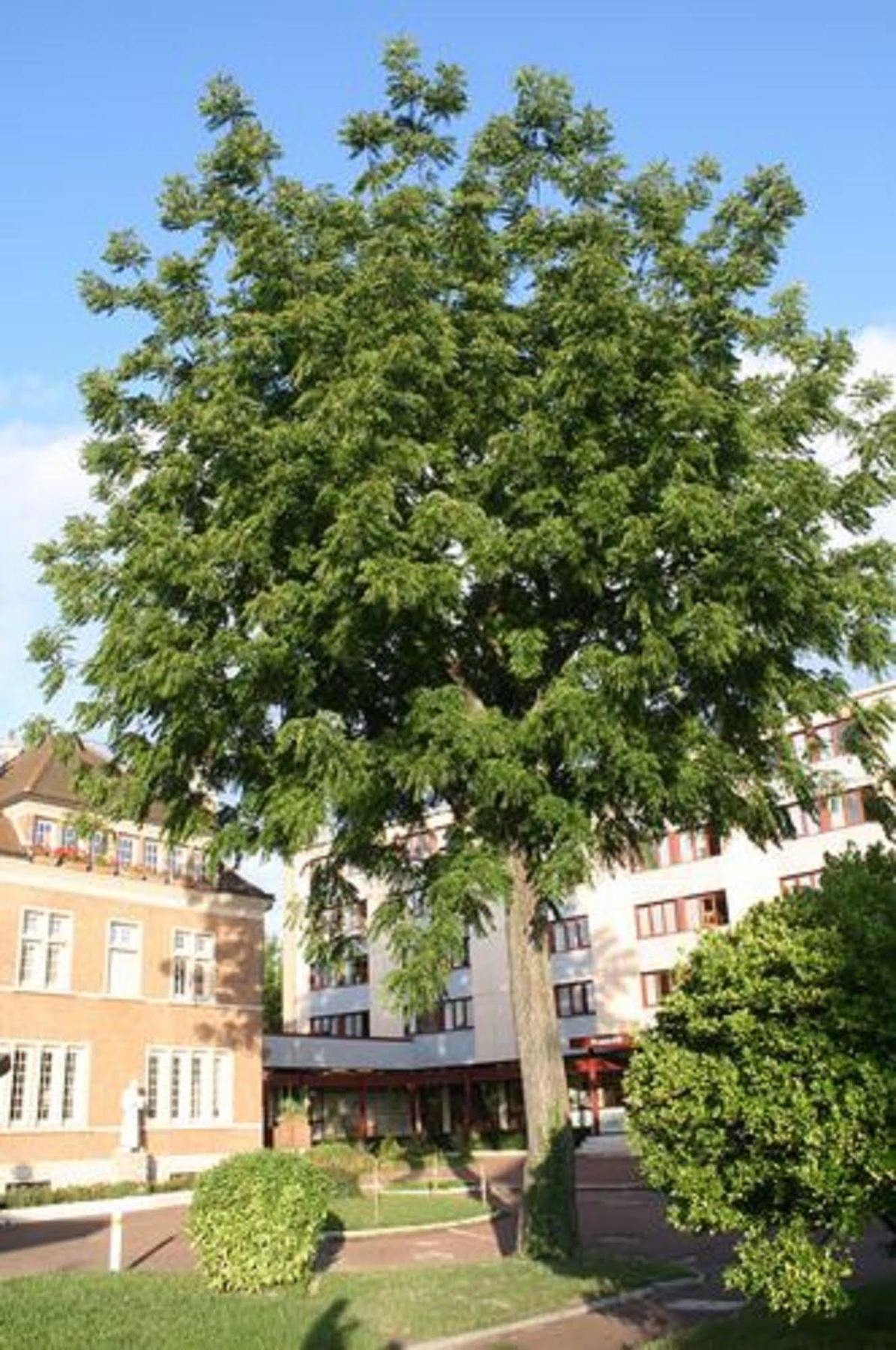 Universitaire Lanteri Hotel